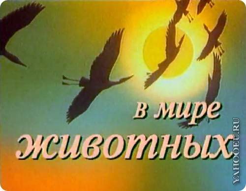 1328879219 rington v mire zhivotnykh