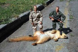 «Криса» замітає сліди