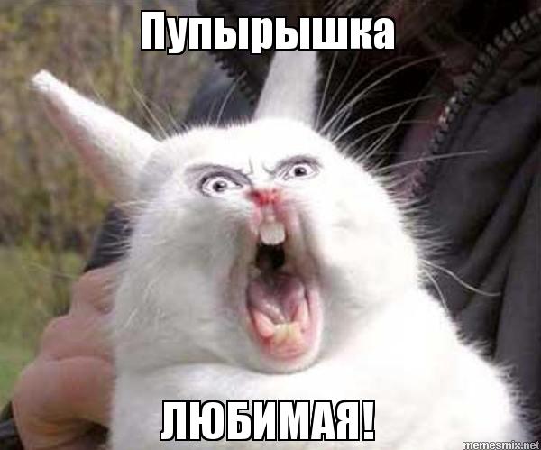 ylk7yo